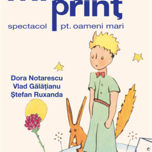 Micul Prinț Micul Prinț